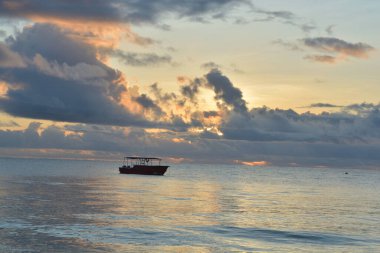 Cennet adası Zanzibar 'ın okyanus kıyısında açarken sessizliğin tadını çıkar.