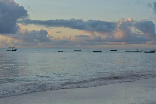 Aproveite Silêncio Enquanto Floresce Costa Oceânica Ilha Paradisíaca Zanzibar — Fotografia de Stock