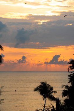 Gölge ağaçlarıyla deniz üzerinde güzel bir günbatımı gökyüzü. Desaru Sahili, Malezya 'da sabah güneşinin doğuşu