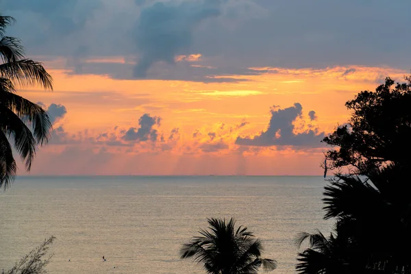 Gölge ağaçlarıyla denizde güzel bir gün batımı. Desaru Sahili, Malezya 'da sabah güneşinin doğuşu