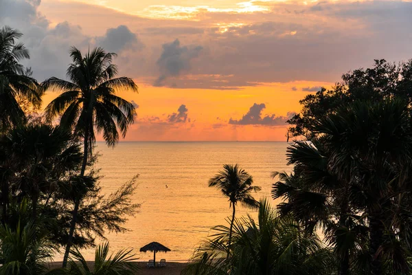 Gölge ağaçlarıyla deniz üzerinde güzel bir günbatımı gökyüzü. Desaru Sahili, Malezya 'da sabah güneşinin doğuşu