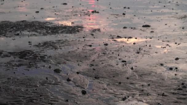 Piękny Czerwony Pomarańczowy Zachód Słońca Odpływie Błotnistej Plaży Bagiennej Wieczorem — Wideo stockowe