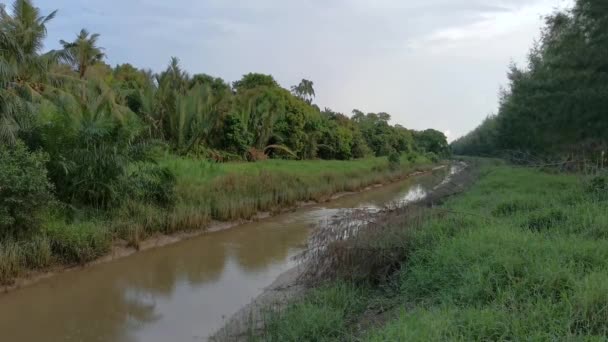 Landschap Uitzicht Vredige Kalme Rivier Die Door Het Kustbos Stroomt — Stockvideo