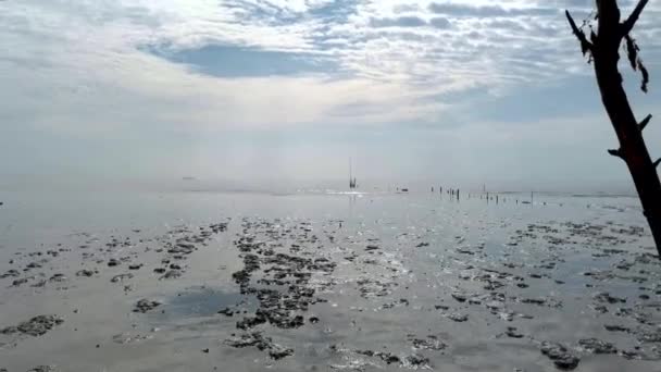 Dramatische See Sumpf Oder Schlammiger Strand Der Wolken Reflektiert Sumpfohren — Stockvideo