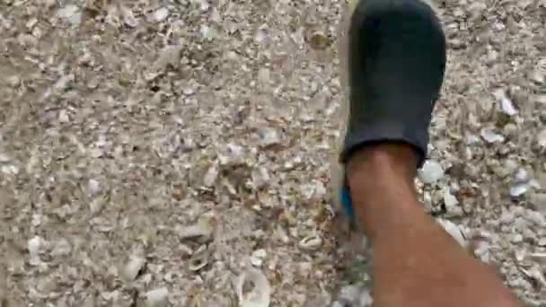 Fußmarsch Muschelsand Strand Von Oben — Stockvideo