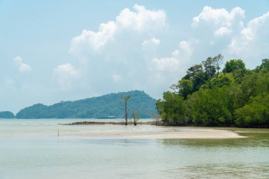 Beyaz kum, ağaçlar, turkuaz okyanus, güneşli yaz gününde bulutlu mavi gökyüzüne karşı tropik bir sahilin deniz manzarası. Rahatlatıcı tatil için manzara arka planı, Endau, Malezya