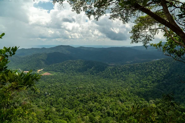 从马来西亚贡榜热带雨林山巅看山脉全景和多云蓝天的树木前景 — 图库照片
