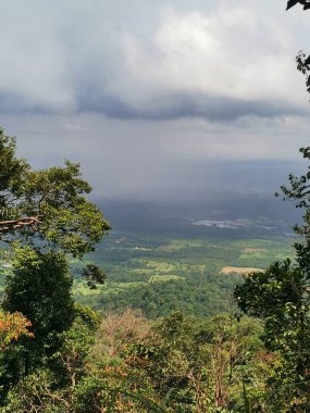 Bulutlu gökyüzü ve sık ağaçlar dallar, çimenler ve yapraklar ön planda, Gunung Panti, Malezya 'nın dağ zirvesinden manzara.