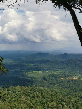 Dağ sırasının panoramik manzarası ve siluet ağaç gövdesi veya dalları ile bulutlu mavi gökyüzü, Gunung Panti, Malezya 'nın yağmur ormanları zirvesinden manzara.