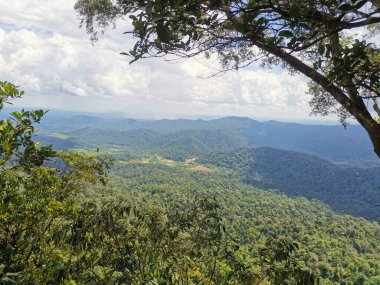 İp ağaca bağlandı ve yağmur ormanlarındaki dağlarda güvenli bir yürüyüş yapmak için kullanıldı. Yürüyüş yapan ya da yürüyüş yapan insanlardan tropik orman veya orman manzarası