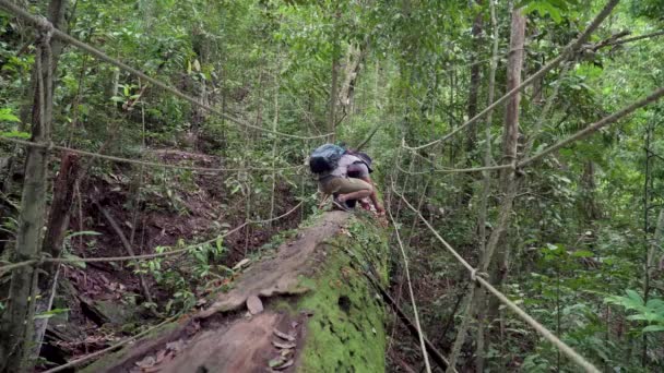 落ちた木の幹にキノコの写真を撮るログ橋の上に観光客のスクワットのバックビュー ハイキングやキャンプ 旅行や冒険の概念 — ストック動画