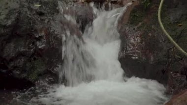 Tropikal yağmur ormanlarında akıntı hızlı akıyor. Kristal berrak suyu olan küçük bir şelale. Dağlardaki güzel dere. Ormanın derinliklerindeki dereler taşların arasında akıyor. Rapids şelaleleri ormanda akıyor. Gunung Lambak Ulusal Parkı, Malezya.