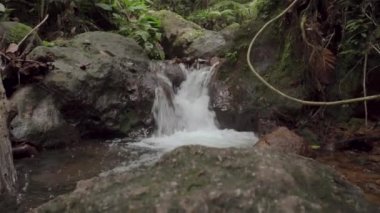 Tropikal yağmur ormanlarında akıntı hızlı akıyor. Kristal berrak suyu olan küçük bir şelale. Dağlardaki güzel dere. Ormanın derinliklerindeki dereler taşların arasında akıyor. Rapids şelaleleri ormanda akıyor. Gunung Lambak Ulusal Parkı, Malezya.