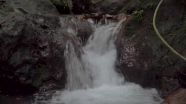 Tropikal yağmur ormanlarında akıntı hızlı akıyor. Kristal berrak suyu olan küçük bir şelale. Dağlardaki güzel dere. Ormanın derinliklerindeki dereler taşların arasında akıyor. Rapids şelaleleri ormanda akıyor. Gunung Lambak Ulusal Parkı, Malezya.
