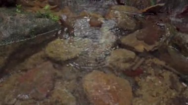 Stoney Creek 'ten akan temiz su yosunlu kayalar, kayalar ve tropikal yağmur ormanlarındaki çakıllar arasında. Ormanda akan hızlı şelale nehri. Gunung Lambak Ulusal Parkı, Malezya.