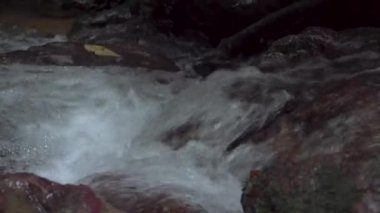 Stoney Creek 'ten akan kristal berrak su yosunlu kayalar, kayalar ve tropik yağmur ormanlarındaki çakıllar arasında. Hızla akan sudaki hızlı şelale nehri..