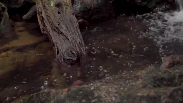 Čistá Říční Voda Tekoucí Kamenitým Potokem Mezi Mechem Tropickém Deštném — Stock video