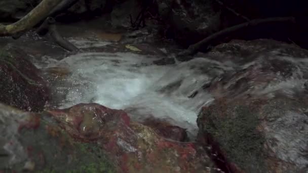 熱帯雨林の苔むした岩 岩や砂利の間の石の小川を流れるクリスタルクリアストリーム水 迅速な水しぶきで迅速な滝の川 — ストック動画