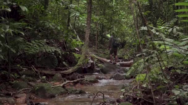 Homme Voyageur Randonneur Regardant Autour Explorer Découvrir Ruisseau Rivière Montagne — Video