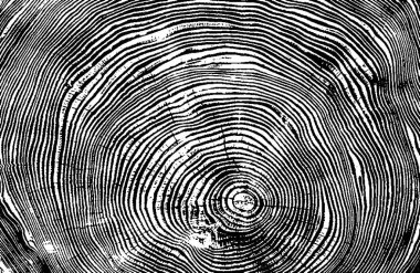 Halı banyosu ve Rug Boho tarzı etnik tasarım desenleri.