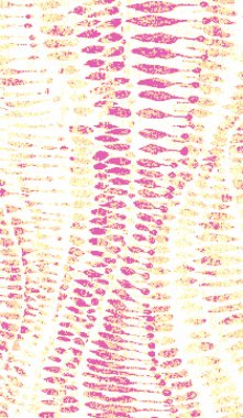 Halı banyosu ve Rug Boho tarzı etnik tasarım desenleri.