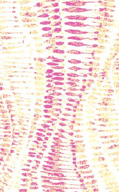 Halı banyosu ve Rug Boho tarzı etnik tasarım desenleri.