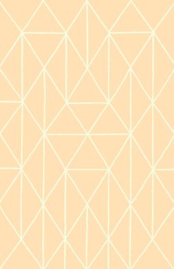 Halı banyosu ve Rug Boho tarzı etnik tasarım desenleri.