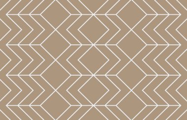 Halı banyosu ve Rug Boho tarzı, dokunmuş doku ve efektli etnik tasarım deseni.