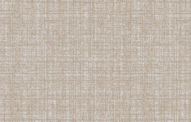 Halı banyosu ve Rug Boho tarzı, dokunmuş doku ve efektli etnik tasarım deseni.