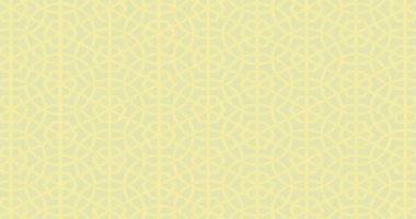 Halı banyosu ve Rug Boho tarzı, dokunmuş doku ve efektli etnik tasarım deseni.