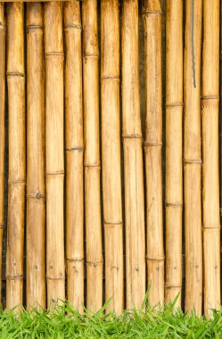 Bambu çit ve arka plan olarak çim