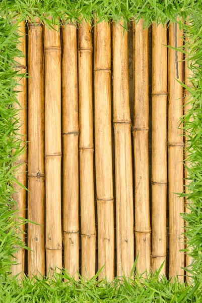 Cerca de bambú y hierba como fondo Imagen de stock