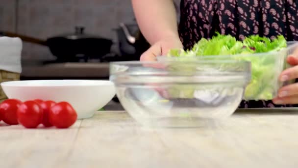 Mujer haciendo ensalada de verduras. enfoque selectivo. — Vídeos de Stock