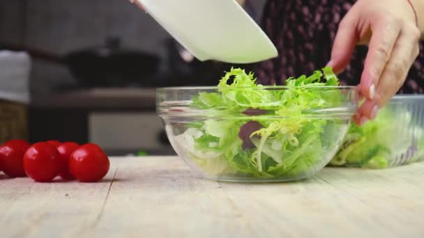 Woman making vegetable salad. selective focus. — Stock Video