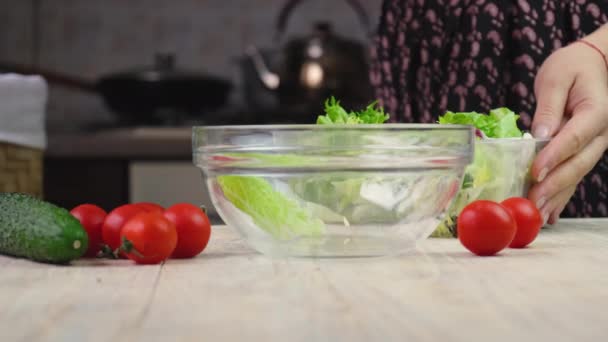 Mulher fazendo salada de legumes. foco seletivo. — Vídeo de Stock