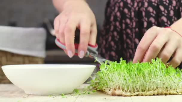Η γυναίκα κόβει μικροπράσινα. επιλεκτική εστίαση. — Αρχείο Βίντεο