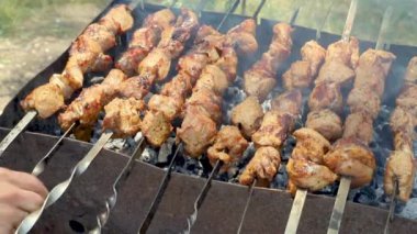 Kebap ızgarada kızartılmış. Seçici odak.