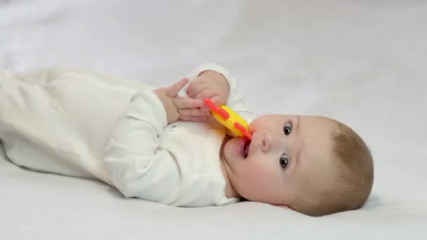 De baby speelt een rammelaar. selectieve focus — Stockvideo