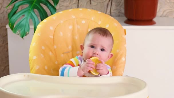 Baby eats lemon. selective focus. — Stock Video