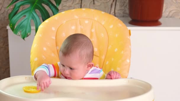赤ん坊はレモンを食べる。選択的焦点. — ストック動画