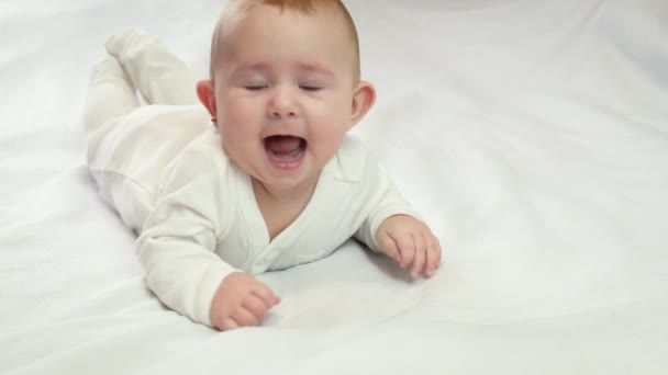 Baby Ruller Maven Selektivt Fokus – Stock-video