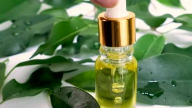 Çay ağacı küçük şişelerde gerekli yağ. seçici odak.