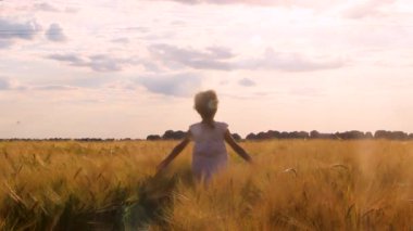 Buğday tarlasında bir çocuk. seçici odak.