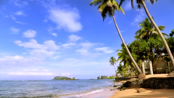 Sri Lanka océano y palmeras. enfoque selectivo. — Vídeo de stock