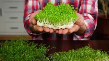 Bir adamın elindeki mikroçerezler. seçici odak.