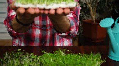 Bir adamın elindeki mikroçerezler. seçici odak.