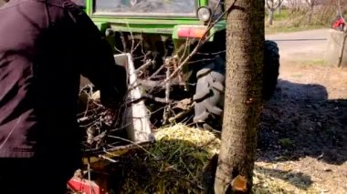 Adam bir ağacın dallarını kesiyor. Seçici odak.