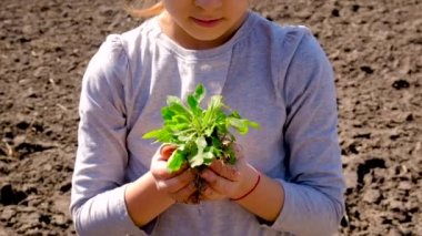 Çocuk toprağa bir bitki ekiyor. Seçici odak.