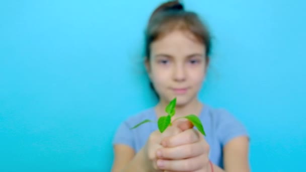 Dítě zasadí rostlinu do země. Selektivní zaměření. — Stock video