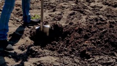 Bir adam bahçede bir çukur kazıyor. Seçici odak.